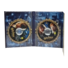 Harry Potter und der Stein der Weisen DVD