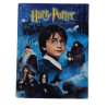 Harry Potter und der Stein der Weisen DVD
